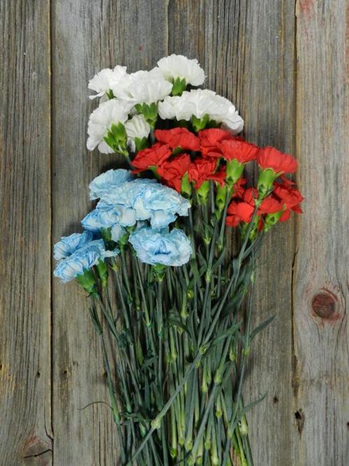 PATRIOTIC CARNATION ASSORTED COMBO BOX